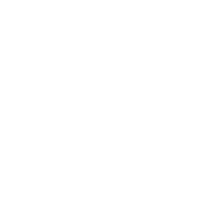 Bowie County