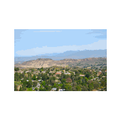 City of Live Oak